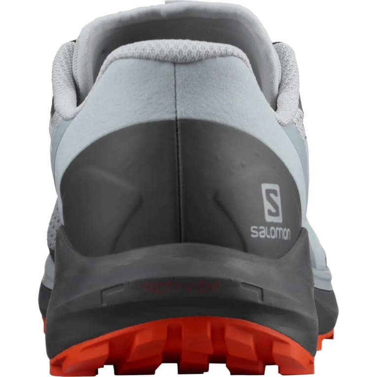 Salomon Sense Ride 4 Men's Trail Running Shoes Grey | CA 49L7